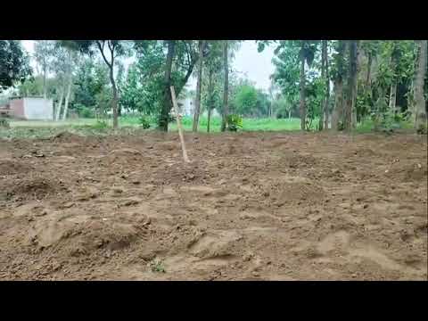 , Aaj Hamare Khet Mein Udhar Se Kam Karenge