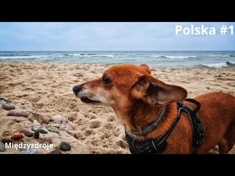 Przybiliśmy piąteczkę z celebrytami! | Międzyzdroje #1