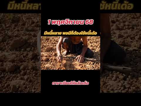 ตามาบอกหวย #เลขเด็ด #เลขเด็ดงวดนี้ #หวยรัฐบาลงวดนี้ #แทงหวยออนไลน์ #เลขดัง