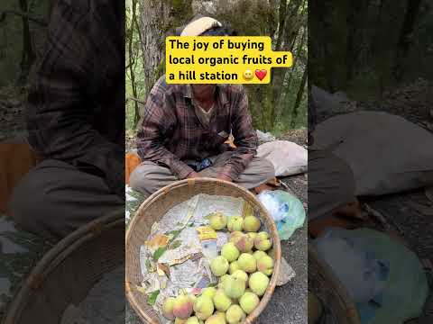 #nainitaltrip #localfruit #organicfarming #organicfruits #lovereels #happy #livehappy #viralshorts