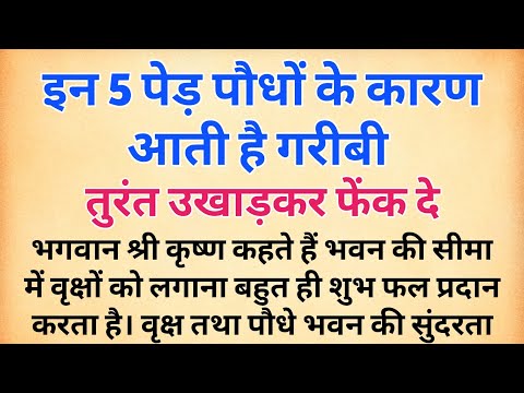 श्री कृष्ण कहते है इन 5 पेड़ पौधों के कारण आती है गरीबी तुरंत उखाड़कर फेंक दे | vastu tips  vastu dosh