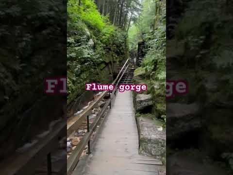 Ice age preserved nature at flume gorge #flumegorge #hampshire #travel