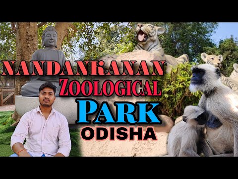 Nandankanan Zoological park : so beautiful place 😲