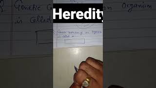 Heredity -- Genotype #shorts #youtubeshorts #heredityandevolutionclass10