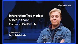 Explainable AI for Tree-Based Models: From SHAP to PDP and Feature Interactions