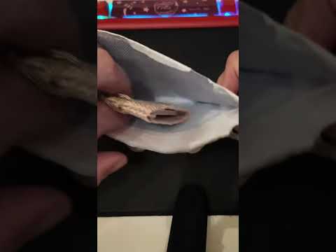 mail call poker chip #unboxing #Stackers #social #pokerchip #coin #coincollecting