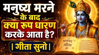 मनुष्य मरने के बाद क्या रूप धारण करता है? | गीता सुनो | Geeta Saar | Krishna Motivation #Krishna 