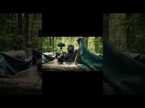 SH*T!! #bigfoot #bigfootvlog #ai #spa #wildlife #funny #lifeisbutadream #water #gorilla #jokes #pet