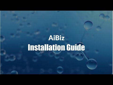 AIBIZ Installation Guide