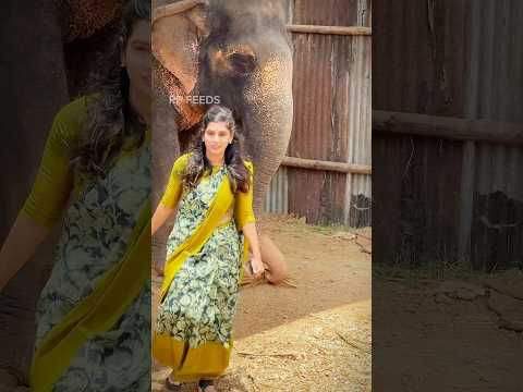 RP Cattle Feeds Palani #farming #cattlefeeds #agriculture #womenentrepreneurs