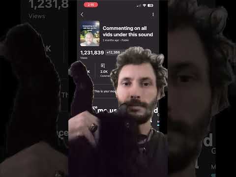 @viralvibes-d2g