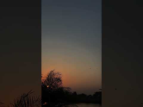 #nature #lakeview #dmax #sunset #water #life #evening #birds