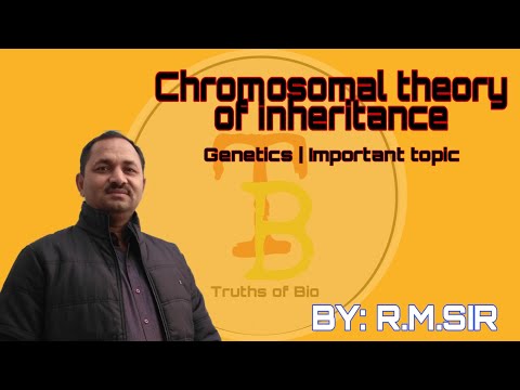 Chromosomal theory of inheritance| Genetics | Important topic lecture for NEET/OLYMPIAD |BY: R.M.SIR