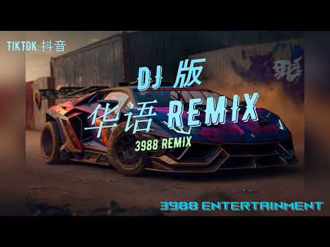 DJ 版 - 茫 x 我好像在哪里见过你 x 爱我的人和我爱的人 x 我好像你 华语REMIX DJ慢摇 私货版 炸歌 TikTok 抖音 3988 Entertainment