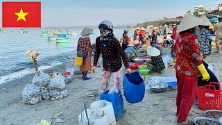 Local guides will take you to hidden seafood gems: Mui Ne Fishing Village Fishing Port, Vietnam 🇻🇳