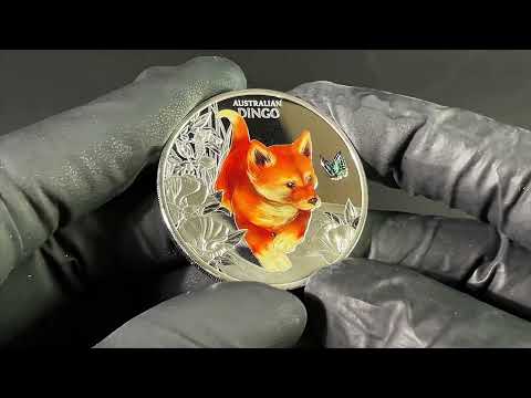 Unboxing EN: Cute & Cuddly (1.) Baby Dingo 1 Oz Silver Proof Coin in Color