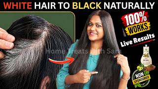 White Hair to Black Naturally|Tried Pre-Soaked Henna from NatHabit Honest Review Live Testing