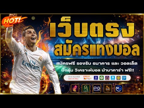 เว็บแทงบอล สมัครแทงบอล เว็บแทงบอลที่ดีที่สุด : เว็บดีบอกต่อ