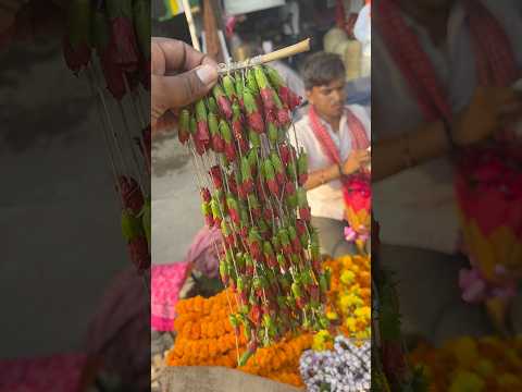 ചെമ്പരത്തി മൊട്ടുകൊണ്ട് മാല😳 #uttarpradesh #travel #india #flowers