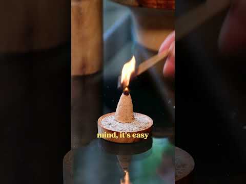 Making Incense for the World's Oldest and Tallest Rocky Mountain Juniper Tree #trees #nature