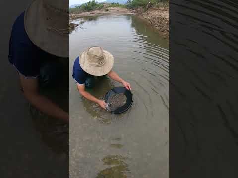 River Gold Search – Exploring the Hidden Gold Beneath the Riverbed #gold #camping #treasuresearch