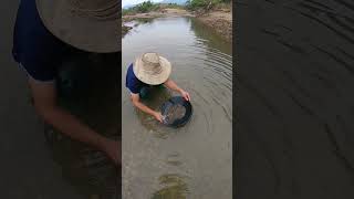 River Gold Search – Exploring the Hidden Gold Beneath the Riverbed #gold #camping #treasuresearch