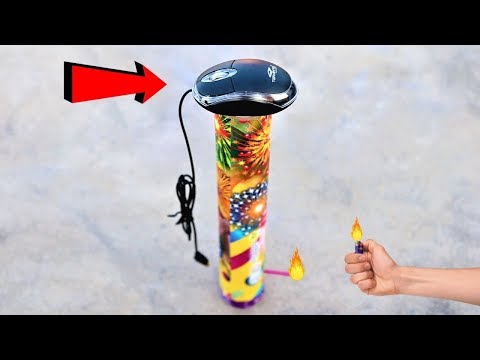 Mouse VS Large Diwali Skyshot | Will It Survive?