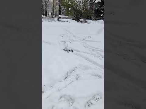 Traxxas summit 1/16 in snow October 2022