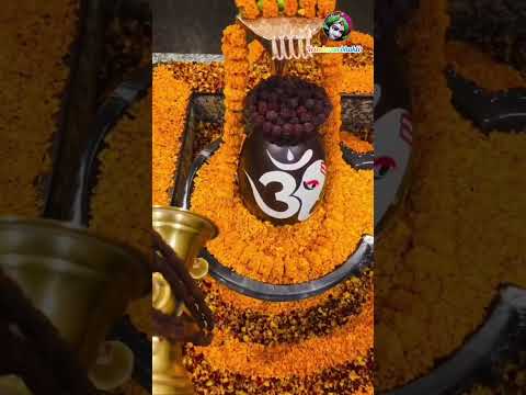 rudrashtakam #vrindavan_bhakti #bhajanmarg #trending #viral
