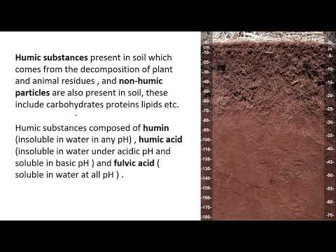 Ecology Abiotic Factors || Ecological Sciences || Life Sciences || First Video