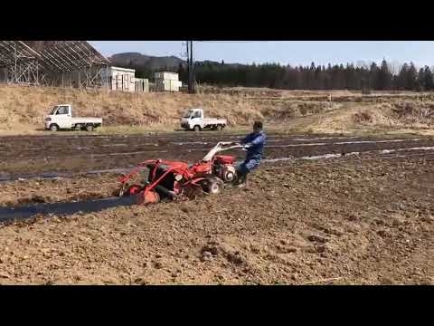 喜多方のぶどう畑　苗植え前のマルチ掛け