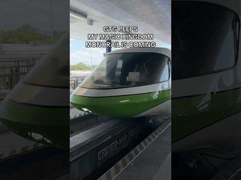 The monorail driver has me 💀😂 #disney #disneyworld #monorail #magickingdom