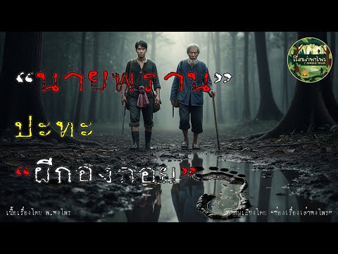 (เรื่องเล่า) นายพรานปะทะผีกองกอย | อาถรรพ์ดงพญาเย็น