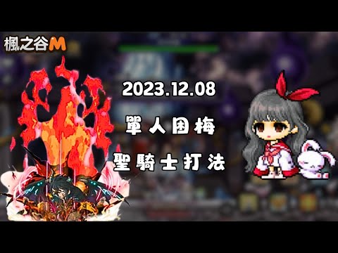 【楓之谷M】單人困難 梅格耐斯 聖騎士視角　#楓之谷M　＃MapleStoryM
