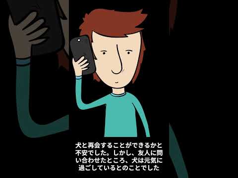 犬との感動的な再会のエピソードの紹介 #shorts