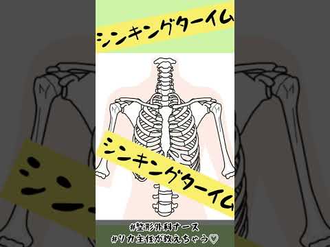 肩鎖関節ってどーこだ？整形外科新人ナースのお勉強★#看護師#勉強