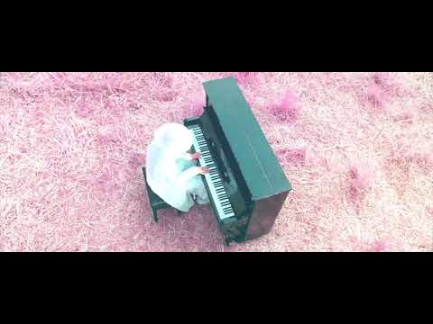 RADWIMPS MV