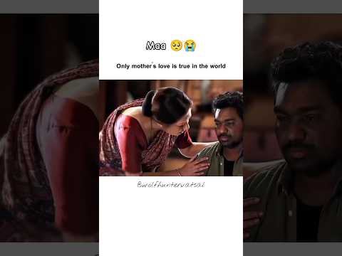 Only Mother's Love Is True In The World | Zakir Khan Shayri |#maa  #zakirkhan #shorts #youtubeshorts