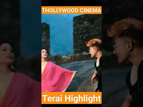 Watch now new Thollywood #song #tharusong #thollywood #Terai_Highlight #youtubeshorts #shortsvideo