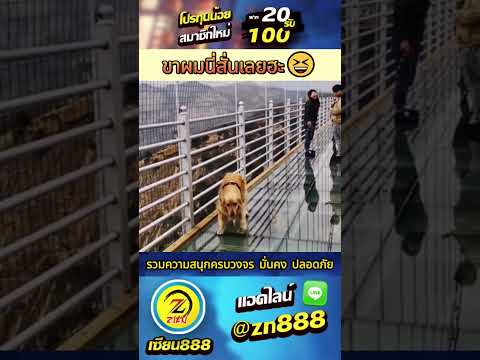 🚩สมัครคลิก » http://bitly.ws/Kg3m 🚩 #เกมสล็อต #โปรทุนน้อยสล็อตpg #20รับ100