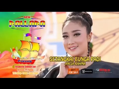 SETANGKAI BUNGA PADI _-_ ANISA RAHMA NEW PALAPA live PALANG TUBAN