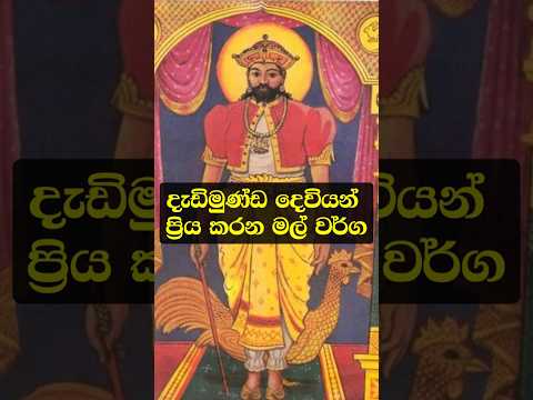 දැඩිමුණ්ඩ දෙවියන්ගේ අශිර්වාදයෙන් ඔබේ ප්‍රාර්ථනාව ඉටු කර ගන්න! #lagna #shorts #youtubeshorts
