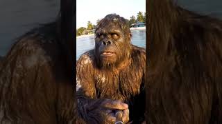 Bigfoot finds some booger sugar #shortsfeed #funny #shortsbeta #bigfoot
