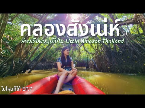คลองสังเน่ห์ : ล่องเรือชม Little Amazon อันโด่งดัง  [ไปไหนก็ได้ EP.7]