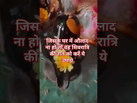 जिसके घर में औलाद ना हो तो वह शिवरात्रि की रात को करें ये उपाय#shortvideo #panditpradeepmishrajikeup