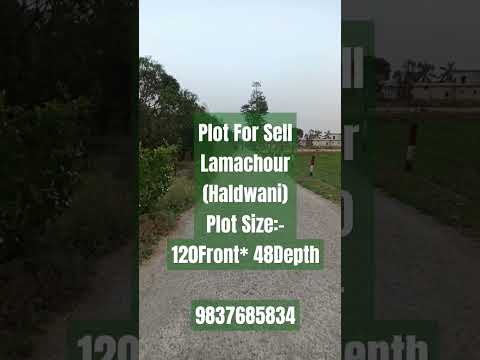 Plot For Sell . Lamachour (Near Amrapali Group Of Institution) 9837685834