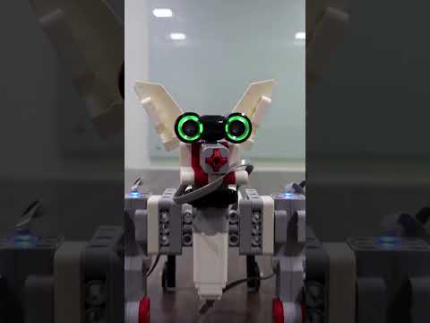 𝐎𝐮𝐫 𝐀𝐝𝐯𝐚𝐧𝐜𝐞𝐝 𝐜𝐨𝐮𝐫𝐬𝐞 - 𝐆𝐮𝐢𝐝𝐞 𝐃𝐨𝐠