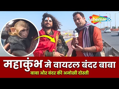 Mhakumbh 2025 में बाबा और बंदर की अनोखी दोस्ती | Viral Bandar Baba | Kumbh Naga Sadhu