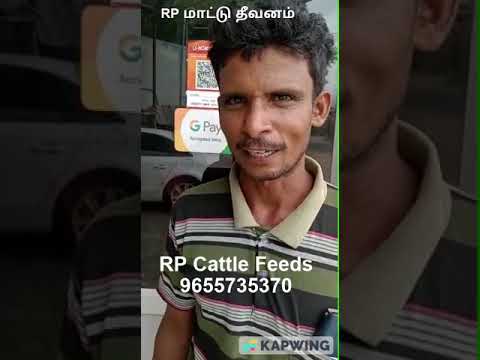 குறைந்த விலையில்  தரமான மாட்டு தீவனம் - RP மாட்டு தீவனம் 9655735370 #மாட்டுதீவனம் #மாடு #cattle