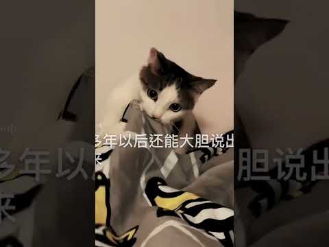 貓星人，今晚好開心😀，有豬🦶腳食😂😂😂